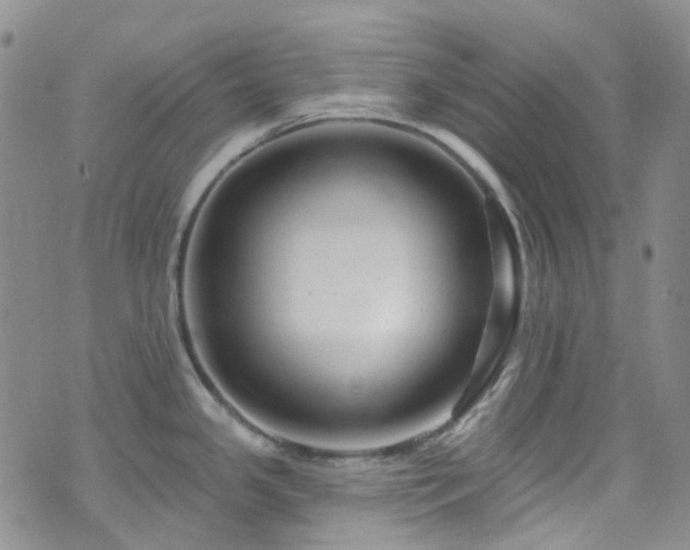 X0000075881341200609151307