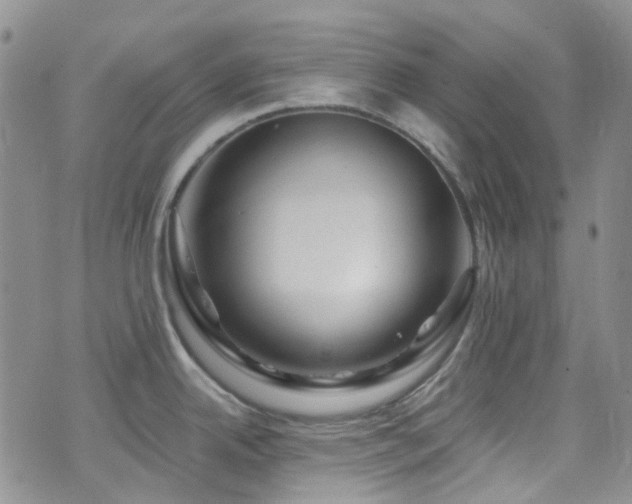 X0000075881342200609151307