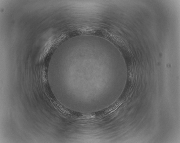 X0000075881346200609151306