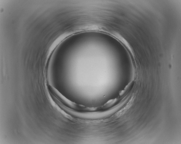 X0000075881389200609151305
