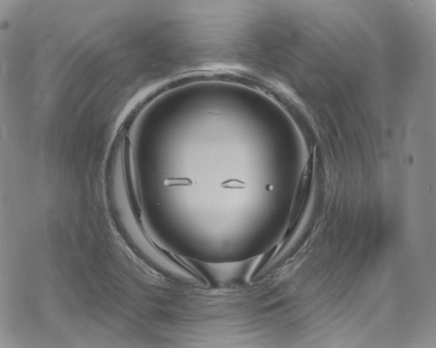 X0000075881412200609151305