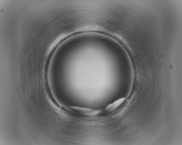 X0000075881422200609151305