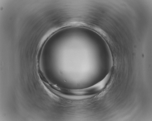 X0000075881430200609151305