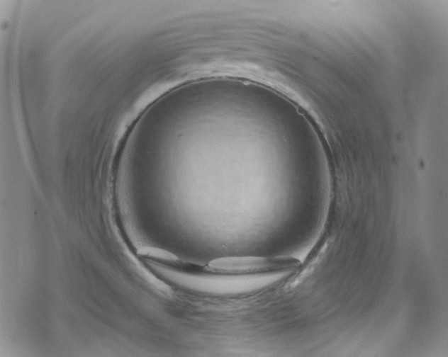 X0000075881525200609151303