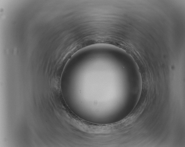 X0000075880044200609221857