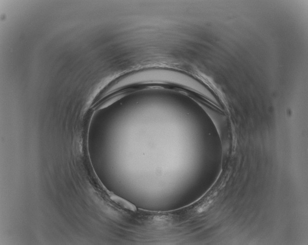 X0000075880060200609221856