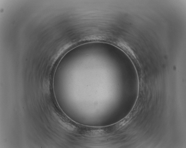 X0000075880108200609221856