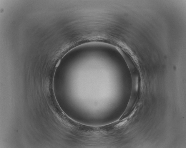 X0000075880201200609221854