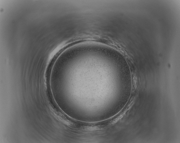 X0000075880246200609221853
