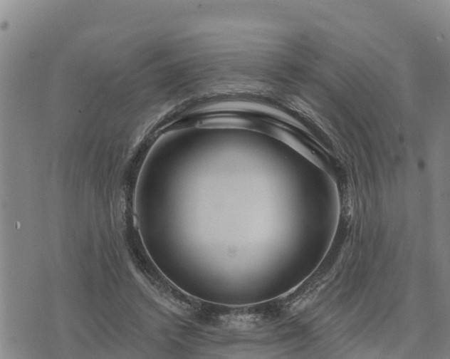 X0000075880448200609221850