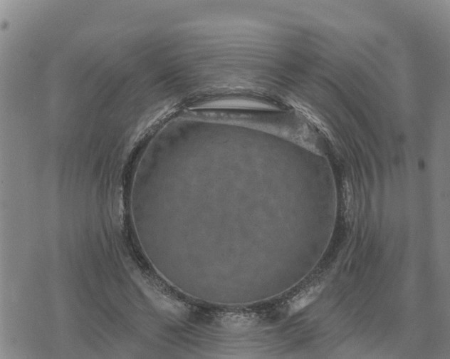 X0000075880494200609221850