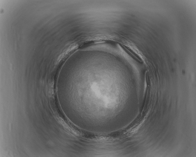 X0000075880585200609221848
