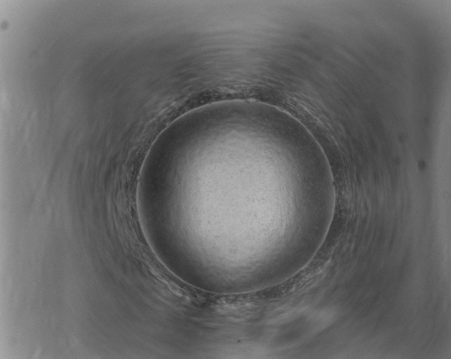 X0000075880817200609221843