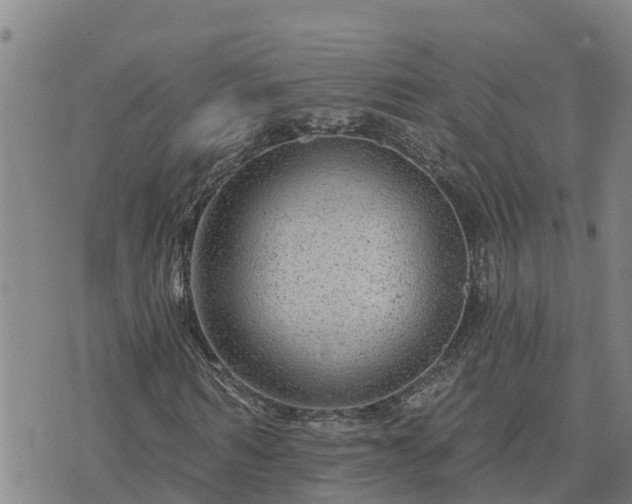 X0000075880962200609221842