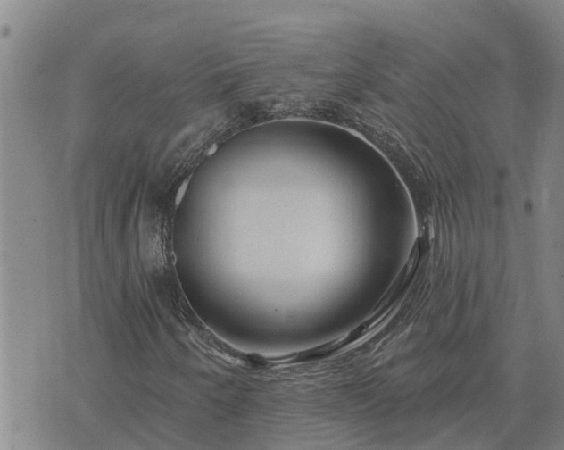 X0000075881250200609221837
