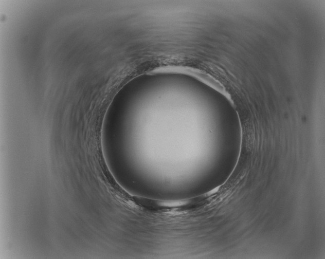 X0000075881345200609221836