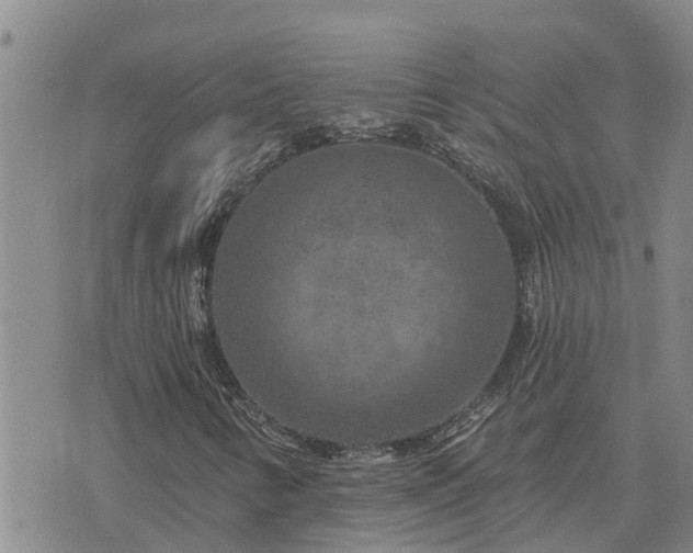 X0000075881346200609221836