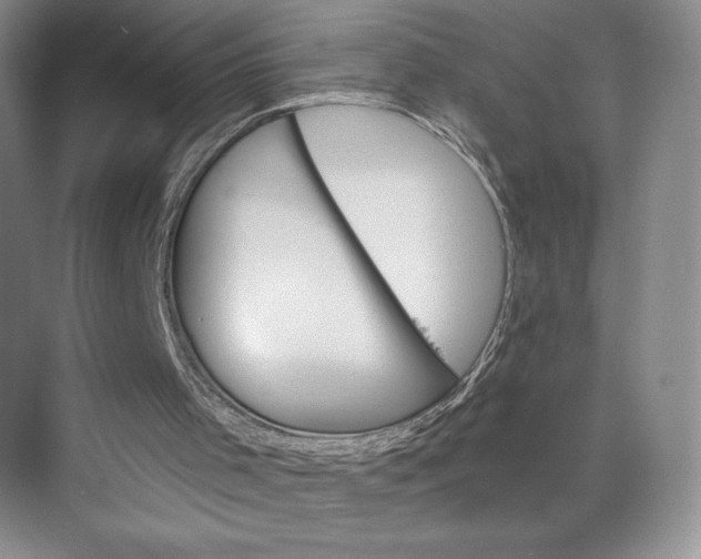 X0000075880001200609291652