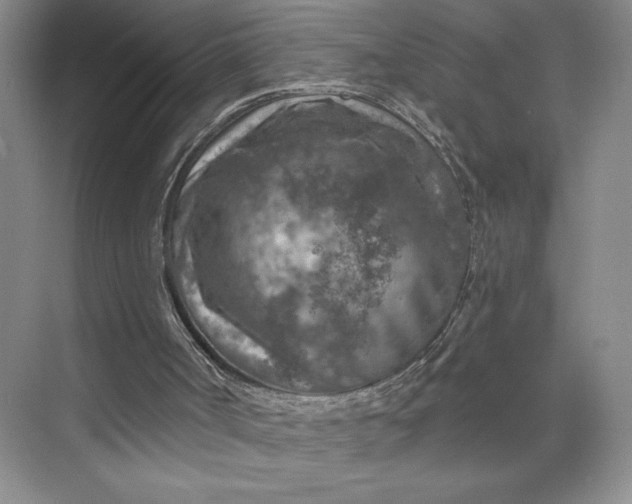 X0000075880002200609291652