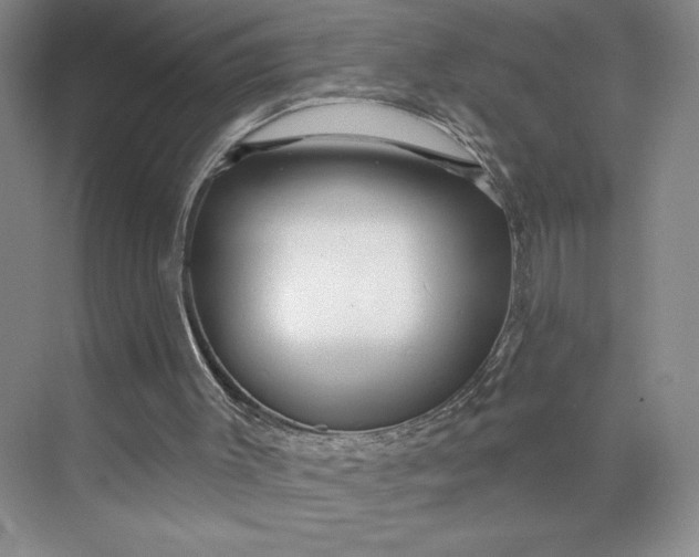 X0000075880003200609291652
