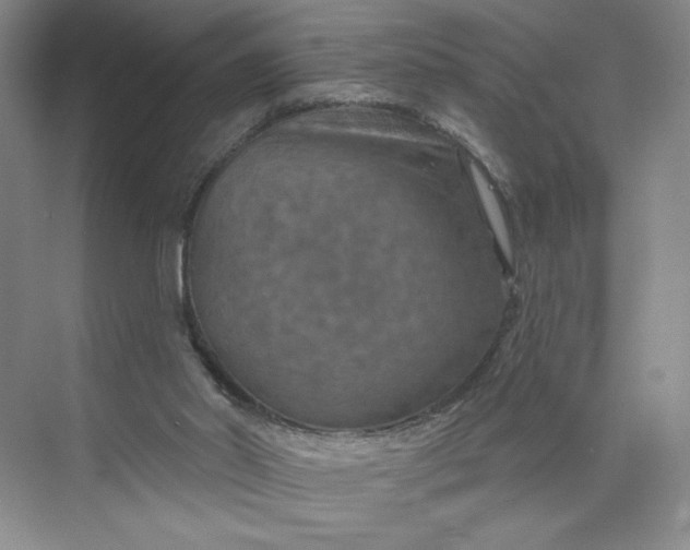 X0000075880014200609291652