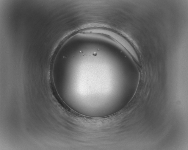 X0000075880015200609291652