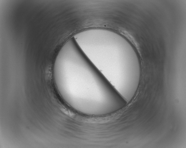 X0000075880017200609291652