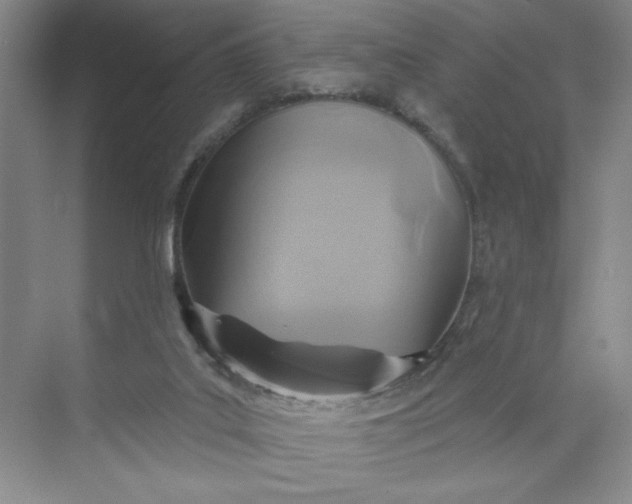 X0000075880019200609291651