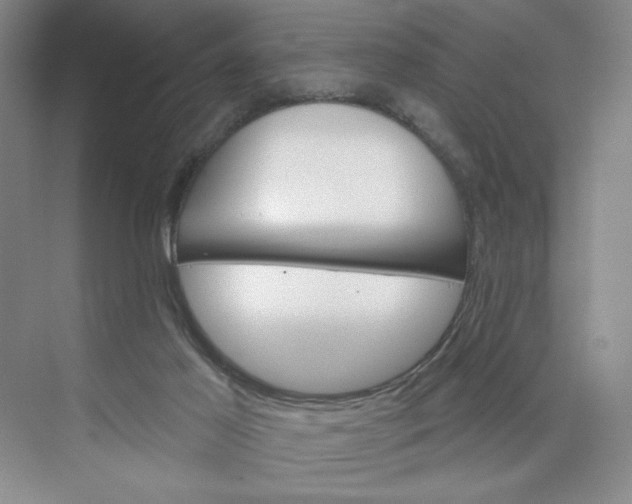 X0000075880021200609291651
