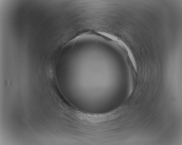 X0000075880039200609291651