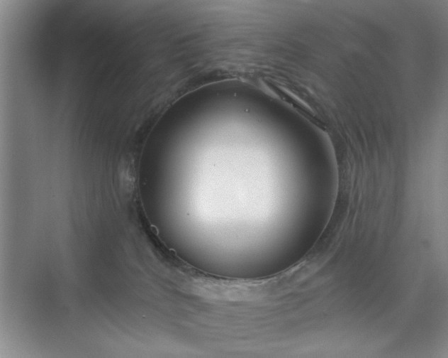 X0000075880040200609291651