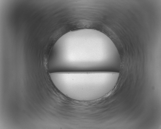 X0000075880045200609291651