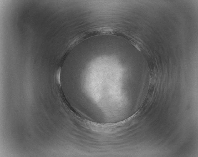 X0000075880047200609291651