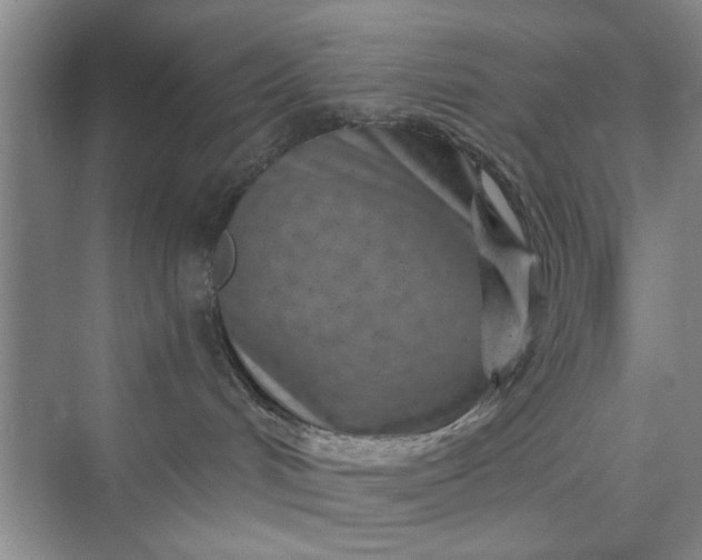 X0000075880048200609291651