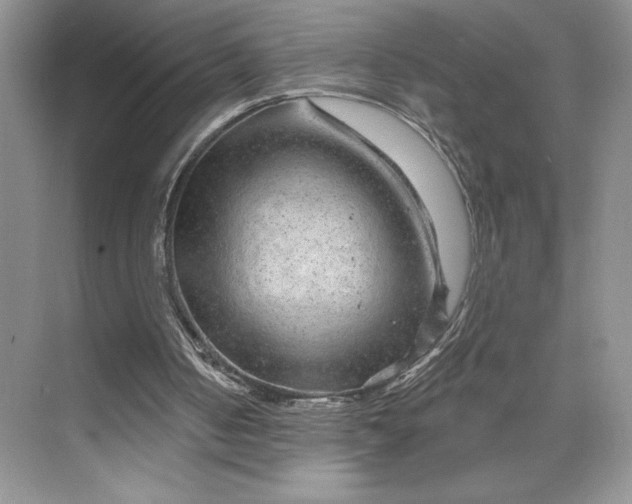 X0000075880050200609291650