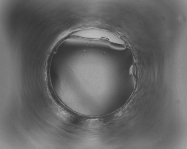 X0000075880054200609291650