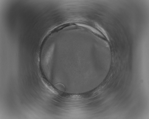 X0000075880059200609291650