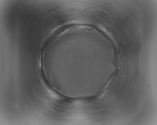 X0000075880062200609291650