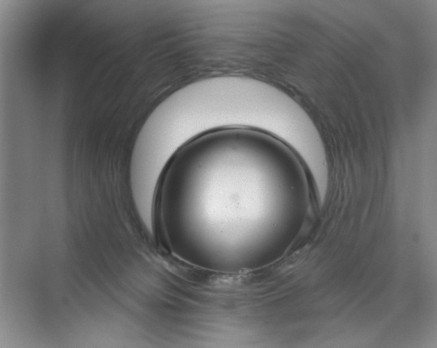 X0000075880084200609291651