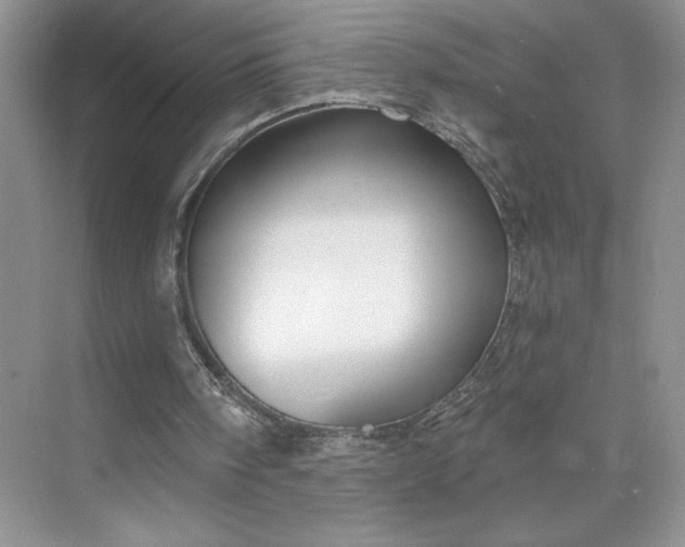 X0000075880098200609291650