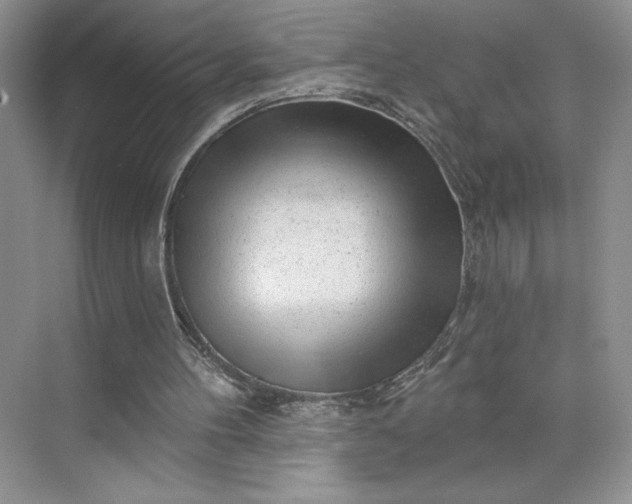 X0000075880100200609291650