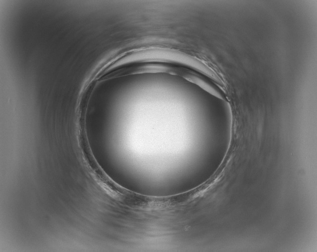 X0000075880101200609291650