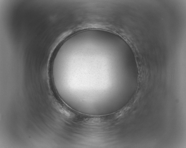 X0000075880104200609291650
