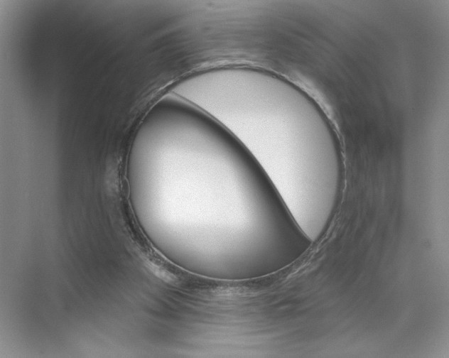 X0000075880105200609291650
