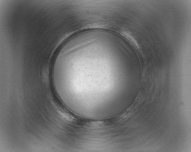 X0000075880108200609291650