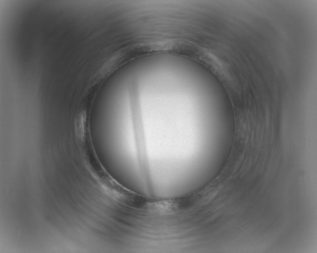 X0000075880118200609291650