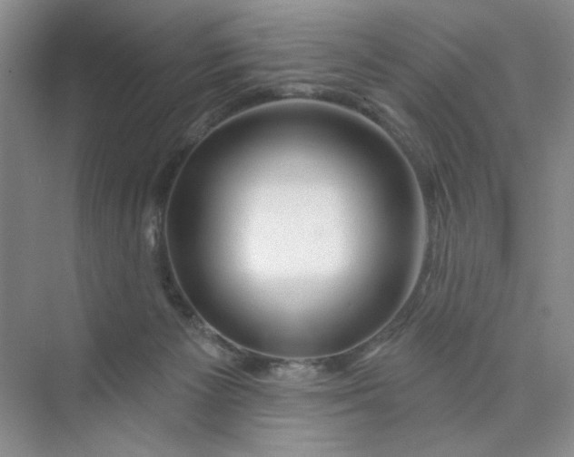 X0000075880125200609291650