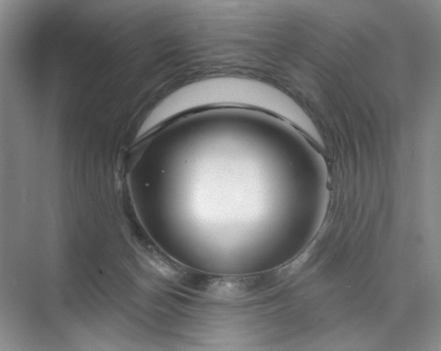X0000075880174200609291649