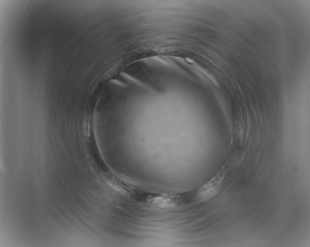 X0000075880180200609291649
