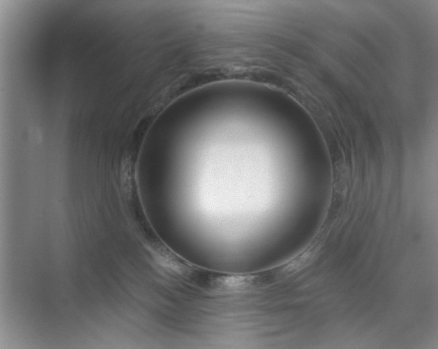 X0000075880184200609291649